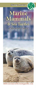 Marine Mammals & Sea Turtles Brochure 