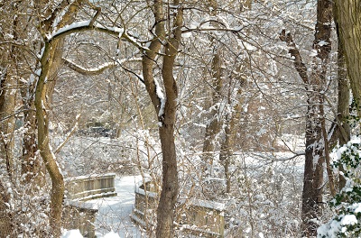 Thompson Park in winter 